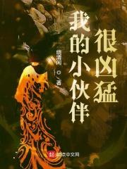 我的小伙伴呢