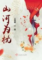 山河枕说的什么