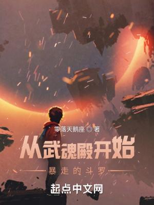 从武魂殿开始攻略