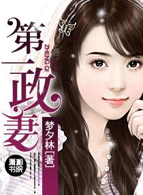 第一政要夫人笔趣阁