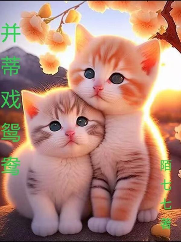 鸳鸯莲的寓意