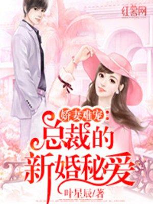 新婚旧爱总裁的秘密新娘