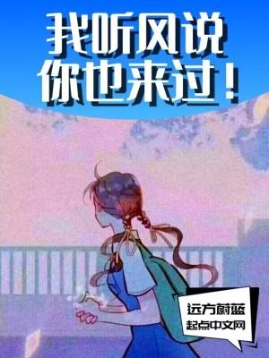 听风说你来过什么歌