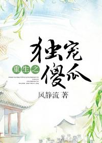 重生之独宠傻瓜讲的什么