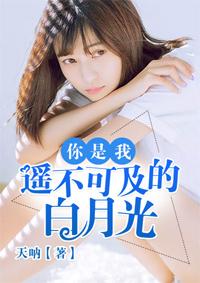 你是我遥不可及的什么
