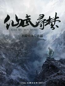 仙武传奇