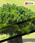 洪荒之万界人祖