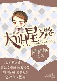大明星改编