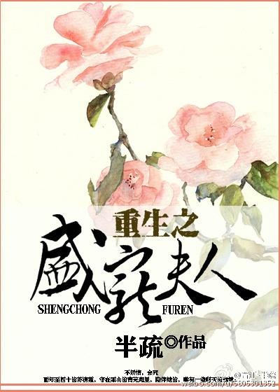 重生之盛宠医妃