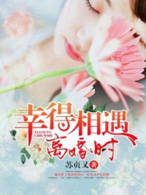 幸得相遇离婚时电影完整版