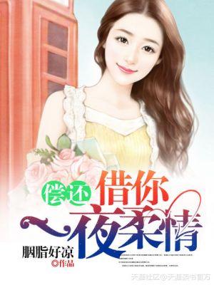 偿还借你一夜柔情by胭脂好凉