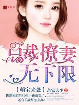 萌宝来袭 总裁追妻套路深