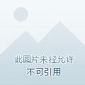 我的白富美女友宋承宪