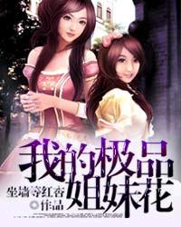 我的极品姐妹花复洛