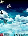 fate命运指定王冠