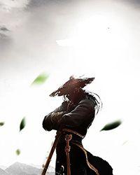 s级魔导师之一