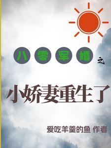 重生八零军婚小俏媳