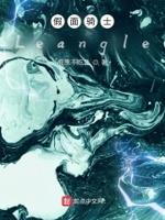 假面骑士Leangle。