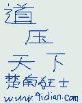 道界天下顶点