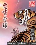 虎啸p1b-dv-30c