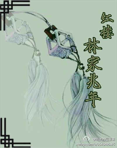 红楼之林家兆年