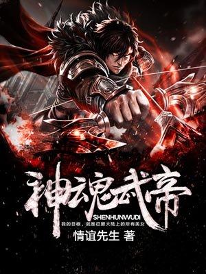神魂武帝无弹窗
