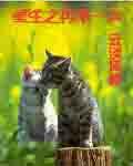 重生之在来一次