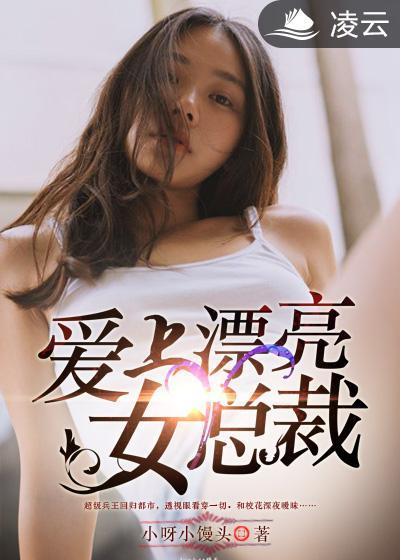 爱上女总裁2