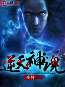 逆天魂帝