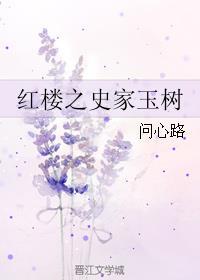 红楼之史鼏