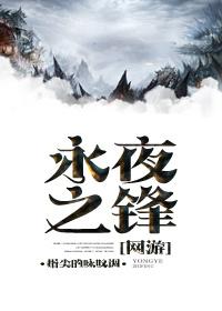 永夜之锋第几章有肉