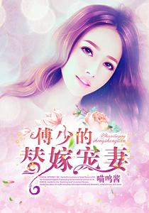 傅少的替嫁暖妻