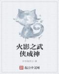 火影之武林高手