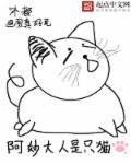 重生猫妖动漫