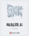 崛起新增内容