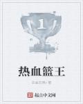 热血篮球赛2