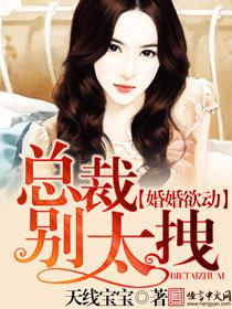婚妻已定总裁别乱来