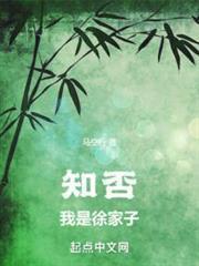 知否我是徐家子作者马空行