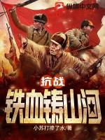 抗战之铁血山河免费读