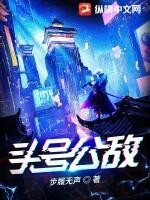 电影头号公敌