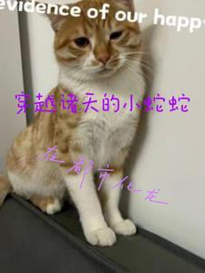 穿越诸天都市的