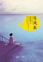 等风来吹向大海是什么歌