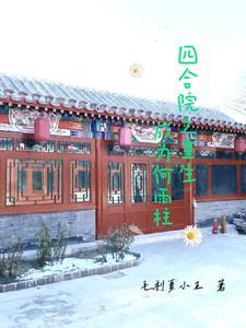 四合院之重生何雨柱18岁飞卢