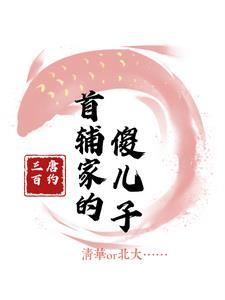 穿成首辅家傻儿子免费阅读