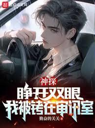 神探陈益有声