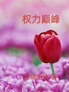 权力巅峰介绍