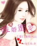免费阅读完整版豪门暖婚蜜爱