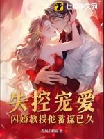 闪婚教授老公