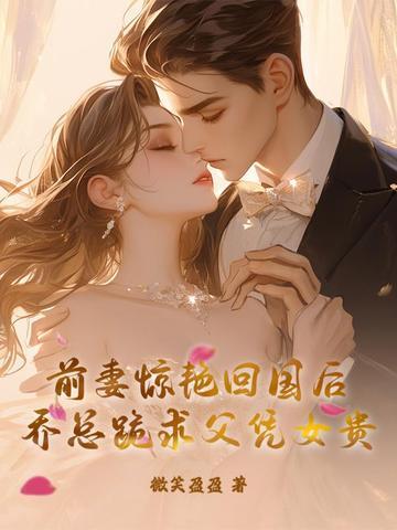 乔总的免费阅读