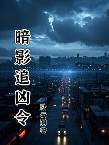 暗影追击攻略